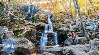 469Mile Fly Fishing Roadtrip Across the Blue Ridge Parkway [upl. by Reinald]