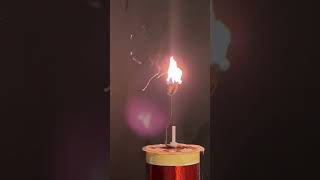 Brazil Nut vs Tesla Coil [upl. by Tletski]