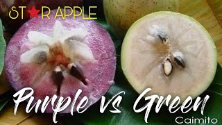 Kenitu UNGU vs HIJAU  Star Apple Review [upl. by Humfrey]