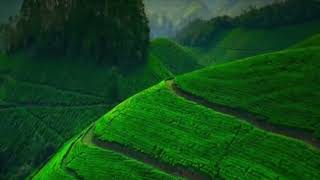 Kerala Nature Song kerala freshmusicstudios [upl. by O'Reilly]