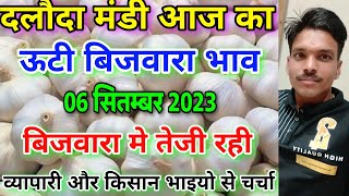 दलौदा मंडी ऊटी बिजवारा का भाव 6 सितंबर 2023 ooty bijvara ka bhav ooty biju garlic rate daloda [upl. by Akiem]