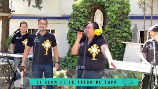 El León de la tribu de Judá [upl. by Netti]