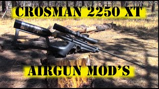 Crosman 2250XT Airgun Mods For Better Hunting [upl. by Blackman660]