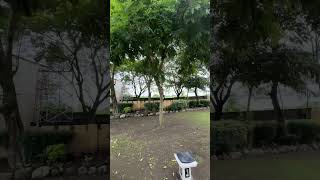 Torres Farm And Resort Cavite Naic Philippines travel viewstranding shorts ytshorts youtube [upl. by Moir288]