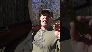 700 BMG Vs Grizzly Bear Kentucky Ballistics [upl. by Borrell]