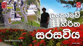 Travel With Chatura  ලංකාවේ හරිත සරසවිය  Vlog 241 [upl. by Madalena]