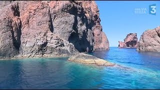 De Scandola à Bonifacio  à la découverte des plus beaux sites marins de Corse  Scandola [upl. by Heidt641]