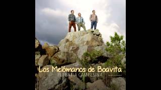 06 ¡Viva Boavita  Los Melómanos De Boavita [upl. by Mota128]