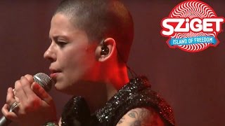 Kovacs Live  Sziget Festival 2016 [upl. by Eirehc]