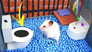 Hamsters Incredible Skills Help It Escape Prison Maze 🐹 DIY Hamster Maze [upl. by Verne]