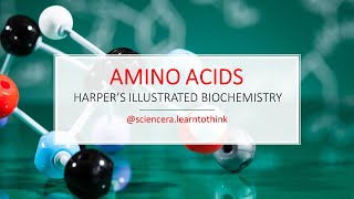 The Complete Guide To Amino Acids Everything You Need To Know Harpers Illustrated Biochemistry [upl. by Oneg624]