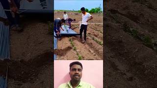 🤔மல்சிங் சீட் இப்படி போடலாமா⁉️  Mulching Sheet 💯 trending mulching sheet statisfying shorts [upl. by Daus]