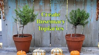 How To Make Easy Rosemary Topiaries super fun [upl. by Arodal]