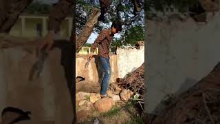 funny jaduib ghdibhoot [upl. by Narak454]