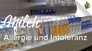 MILCH  Eiweissallergie und Laktoseintoleranz [upl. by Aigroeg712]