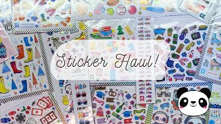 Chatty Sticker Haul  BFF Sticker Club Pipsticks amp Stickerbright [upl. by Zaneski]