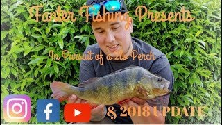 Fanter Fishing Ep 5 amp2018 update in pursuit of a 2lb perch River Stort fishing dropshot tutorial [upl. by Awra]