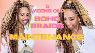 BEST MAINTENANCE routine  PRODUCTS for Boho Braids with human hair [upl. by Ernesta]