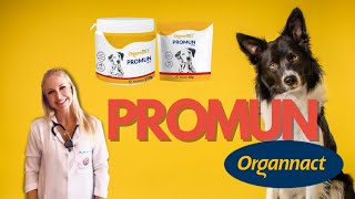 Promun Organnact  Doutora Bruna Vet  Veterinária [upl. by Hirsh]