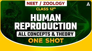 HUMAN REPRODUCTION CLASS 12 ONE SHOT  NEET 2024  ALL CONCEPTS amp THEORY  ZOOLOGY SANKALP BHARAT [upl. by Gone36]