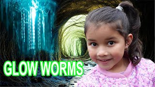 The Glow Worm Tunnel With Zoe [upl. by Samuella207]