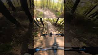 First dirt run downhill bike bikepark [upl. by Ahseneuq]