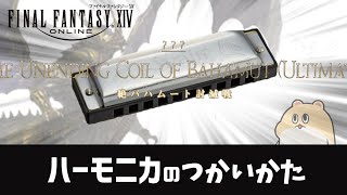 【FF14】絶バカを咥えてハーモニカ【竜騎士視点】 [upl. by Aveline]