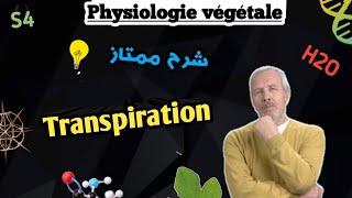 Physiologie végétale en Arabe Transpiration et montée de la sève brute dans le xylème SVI S4 [upl. by Elberta]