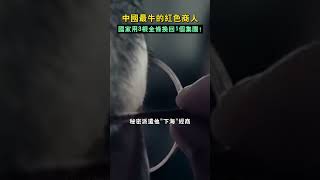 中國最牛的紅色商人，國家用3根金條換回1個集團！ [upl. by Lindsy664]