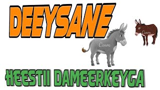 HEESTII  DAMEERKEYGA DEEYSANE  MUSIC LYRICS 2020 [upl. by Moclam]