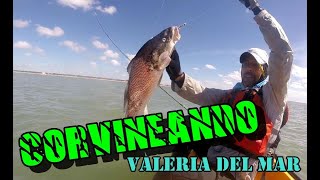 Pesca en Valeria del Mar [upl. by Nosirb]