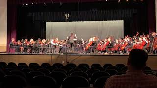 TMS Orchestra performing “Serengeti Dreams” [upl. by Eugenie]