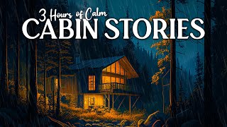 The Cabin Collection 3 Hours of Cozy Cabin Sleep Stories Extra Length No Ads [upl. by Thorvald]