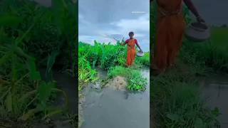 Unbelievable Hook fishing method🐟challenge hook fishing shortsReelsfishviral video [upl. by Adnorahs]