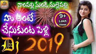 Nampally Nundi Mallepally Dj Song  2024 Dj Songs  Private Folk Dj Songs  Telangana Folk Dj Songs [upl. by Bilski480]