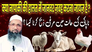 क्या नापाकी की हालत में जानवर ज़बह करना जायज़ है  Murgi Zabah Karna Kaisa  Mufti Alamgir [upl. by Leizahaj]