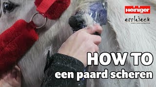 HOW TO een paard scheren  DEEL1  62  Epplejeck [upl. by Airtened]