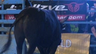 INVERELL PBR HIGHLIGHTS 2016 [upl. by Cenac794]