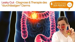 Leaky Gut – Diagnose amp Therapie des „durchlässigen“ Darms  42 [upl. by Eladal575]