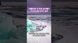 시베리아 초거대 싱크홀 미스터리 기후변화의 결과는 아무도 몰라시베리아거대싱크홀뉴스 이슈shorts [upl. by Ynnor]