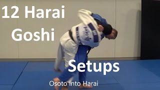 12 must know Harai goshi setups by Matt DAquino [upl. by Borlase245]