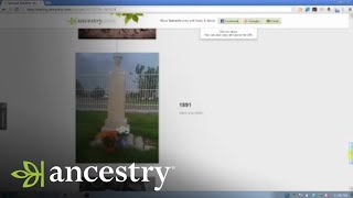 Ancestrycom Online Family Trees Story View  Ancestry [upl. by Atteselrahc]