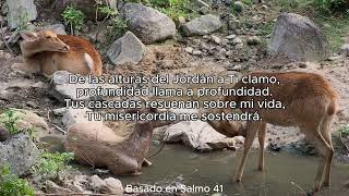 CANCIÓN quot Como el ciervo anhela quot BASADO EN Salmo 42 [upl. by Anahahs]