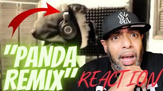 FIRST TIME LISTEN  16 YEAR OLD KILLS PANDA REMIX  REACTION [upl. by Oloap]