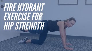 The Fire Hydrant  Hip Strengthening Exercise  CORE Chiropractic [upl. by Iman]