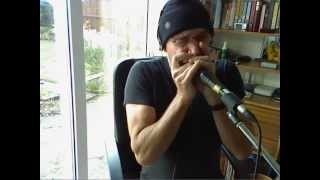 Stone Fox Chase  Blues Harmonica  Old Grey Whistle Test  TAB [upl. by Kleinstein838]