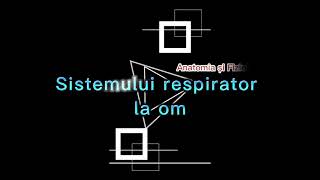 Sistemul respirator la om [upl. by Rist]