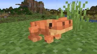 I Fixed Frogs in Minecraft [upl. by Hogarth]