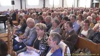 Singin Zingen in de Zomer 29 juli 2015 [upl. by Enattirb]