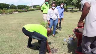 Tree Planting Ceremony National Botanical Gardens The Barbadian Association in Canada [upl. by Airemahs]